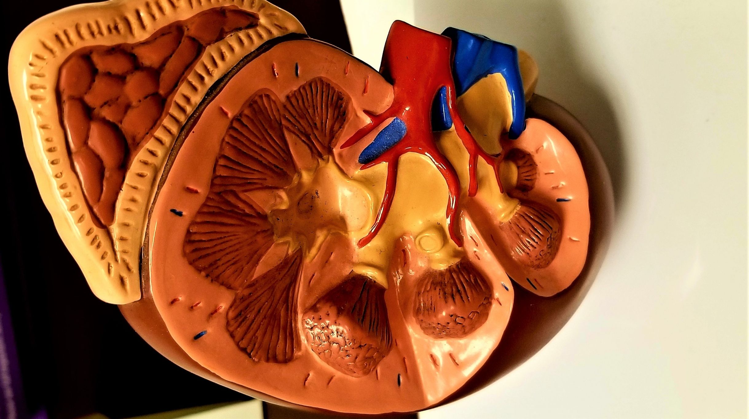 Sodium & Kidney Stones: 5 Effects Of Sodium