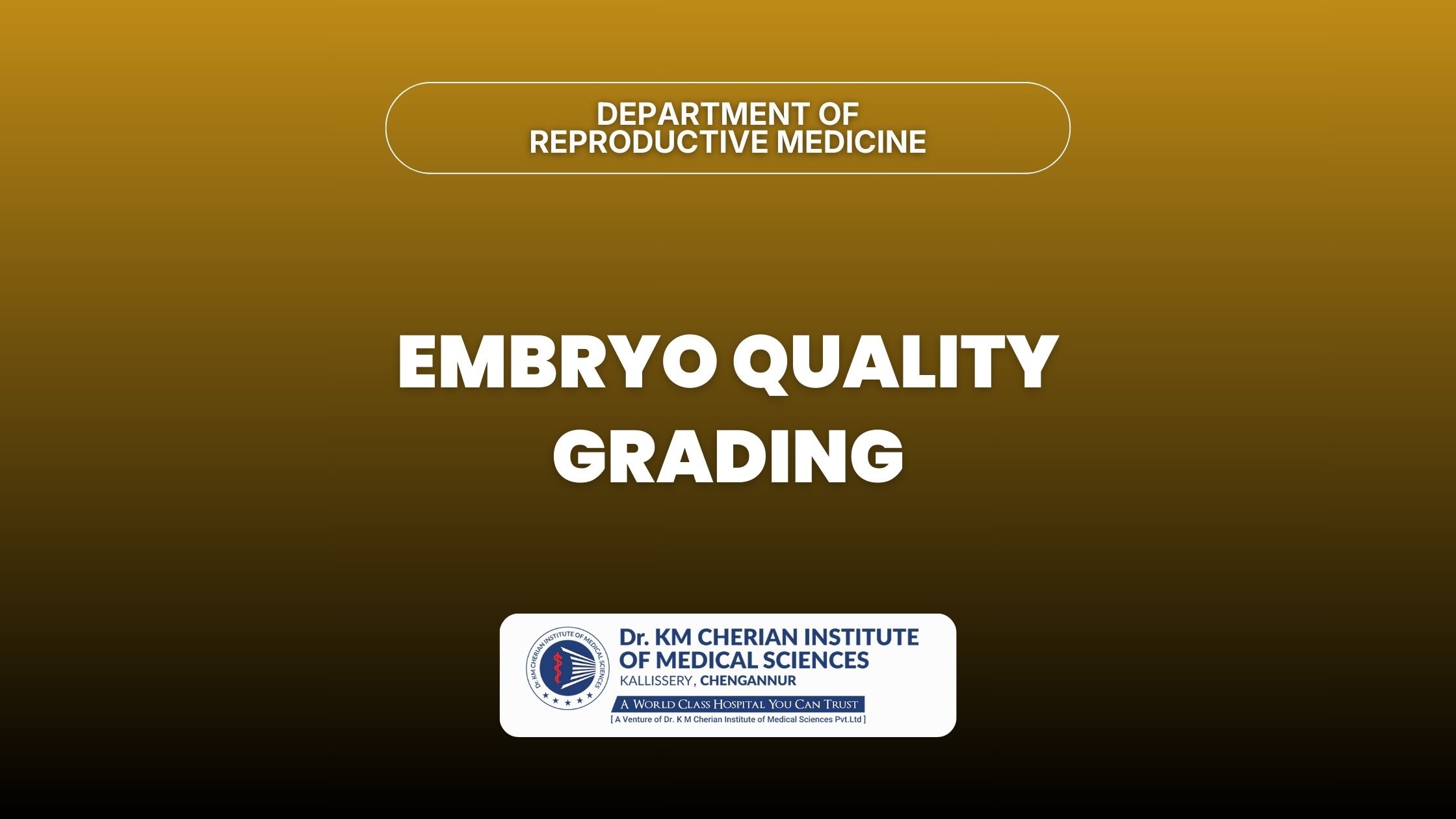 Embryo Quality Grading: How Fertilized Embryos are Assessed for IVF